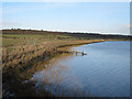 TQ8797 : Sea Wall and Bridgemarsh Creek by Roger Jones