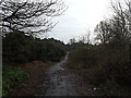 TM2650 : Bridleway to the A1152 Woods Lane by Geographer