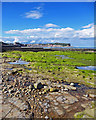 TA0487 : South Bay Low Tide by Scott Robinson