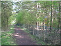 SK1827 : Fauld Crater perimeter path - Hanbury, Staffordshire by Martin Richard Phelan