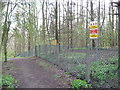 SK1828 : Fauld Crater woodland track - Hanbury, Staffordshire by Martin Richard Phelan