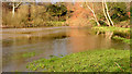 J3268 : The confluence of the Lagan and Minnowburn, Belfast - February 2014 by Albert Bridge