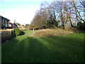 SP2965 : Fallen poplars, Emscote Gardens, Warwick  by Robin Stott