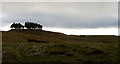 NY9424 : Moorland rising towards Kirkcarrion by Trevor Littlewood