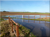  : Flooded Gateway by Des Blenkinsopp