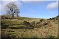 SO1470 : Upland grazing near Upper Sign by Philip Halling