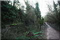 SO6023 : Old railway cutting near Ross on Wye by John Winder