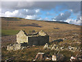 SD8388 : Ruined barn in clear-felled forest, Snaizeholme by Karl and Ali