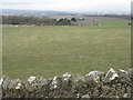 NT0079 : Pasture at Airngath by M J Richardson