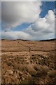 NR4250 : ATV track across boggy moorland near Tighnaspeur, Islay by Becky Williamson