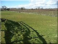 SE2880 : Newly-planted hedge, Nosterfield Quarry by Christine Johnstone