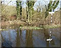 SP9501 : Flood at Pednor Road junction with Drydell Lane by Rob Farrow