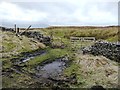 SD7889 : Muddy entrance with mismatched gates by Christine Johnstone