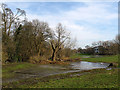 TL1406 : Flooded land, Verulamium Park by Stephen Craven