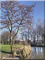 SJ5396 : Sankey Canal, Stanley Bank by David Dixon