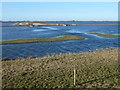 TF3601 : Looking over Wisbech St Mary Wash - The Nene Washes by Richard Humphrey