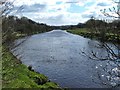 NS6263 : The River Clyde near Parkhead by Lairich Rig