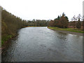 NT5832 : The River Tweed at Dryburgh by Oliver Dixon