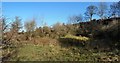 NS4079 : Disused quarry: northern end by Lairich Rig