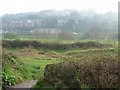 SX9093 : Flood plain, west bank of the River Exe, Exwick by Christine Johnstone