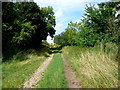 SP2547 : Bridle Path to Rough Hill by Nigel Mykura