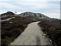 SH2182 : Path heading for Holyhead Mountain by Chris Heaton