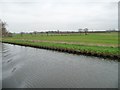 SE6110 : Trees along a drain, east of Northfield Road bridge by Christine Johnstone