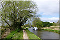 SK3728 : A large poplar beside the Trent & Mersey Canal by David Lally