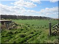 NT9734 : Field gateway north of Fenton by Graham Robson