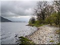 NY2128 : Bassenthwaite Lake by David Dixon