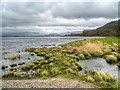 NY2227 : Blackstock Point, Bassenthwaite Lake by David Dixon