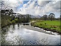 NY2523 : River Derwent, Downstream from Portinscale Bridge by David Dixon