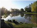 SU9850 : The Lake in the early morning sunshine by Geographer