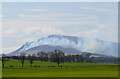 NT0636 : Muirburn on Tinto (2) by Jim Barton