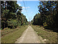 SU8963 : Pylon line, Bagshot Heath by Alan Hunt