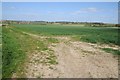 ST4016 : Arable land near Shepton Beauchamp by Philip Halling