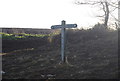 TF9744 : Norfolk Coast Path signpost by N Chadwick