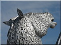 NS9082 : Kelpie head at The Helix by M J Richardson