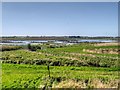 SD4214 : Martin Mere WWT Centre, View from United Utilities Hide by David Dixon