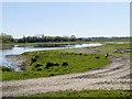 SD4214 : View from Hale Hide, Martin Mere WWT Centre by David Dixon