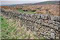 NY7267 : Dry Stone Wall by Mick Garratt