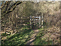 SS8677 : Kissing gate in the north of Merthyr Mawr Warren by eswales