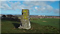 NZ3554 : Hasting Hill trig point, near Sunderland by Malc McDonald