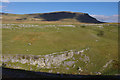 SD8273 : Limestone crag by Ian Taylor