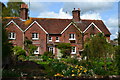 SU6424 : Cottages and gardens at West Meon by David Martin