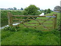 TF6213 : Gate on the bank of The River Nar near Setchy by Richard Humphrey