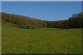 SZ3984 : Meadow surrounded by woods above Brook by Christopher Hilton