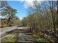 NS3284 : Start of a forestry track by Lairich Rig