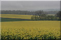 NZ1605 : Rape Fields by Mick Garratt