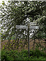 TM4393 : Roadsign on Hollow Way Hill by Geographer